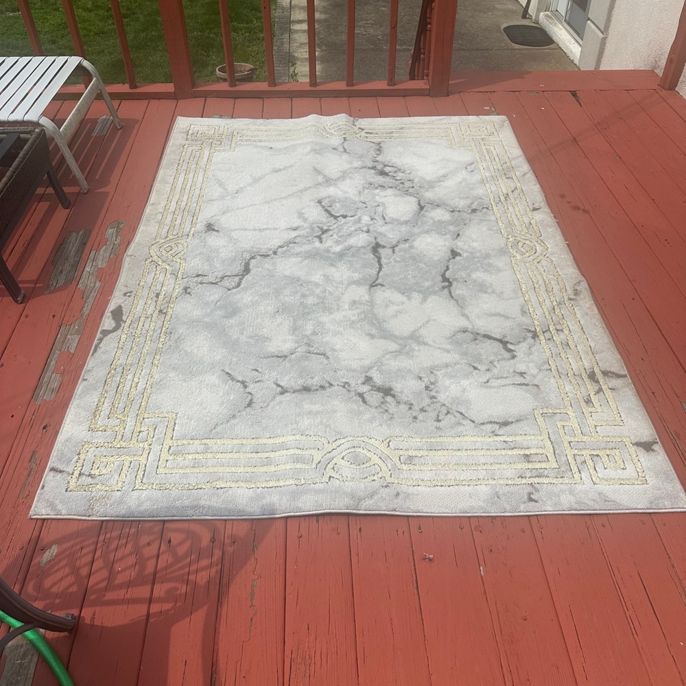 Elegant Gray and Gold Area Rug